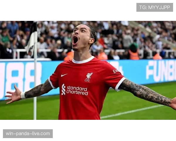 努涅斯的成长轨迹：从南美新星到英超焦点的能力跃迁与质疑解析